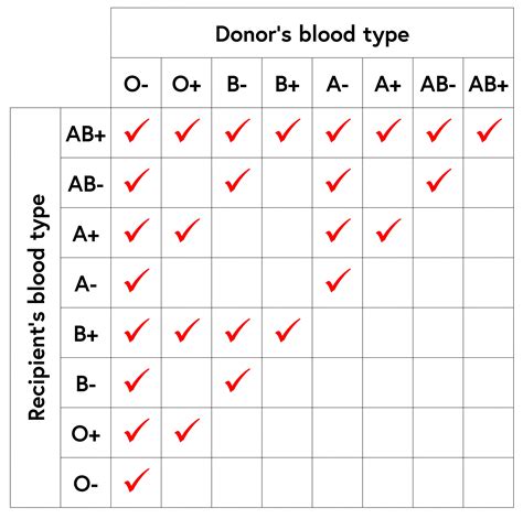 ab blood type dating